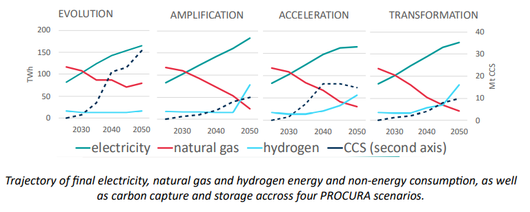Trajectory of final electricity, natural gas and hydrogen energy and non-energy consumption, as well as carbon capture and storage accross four PROCURA scenarios.