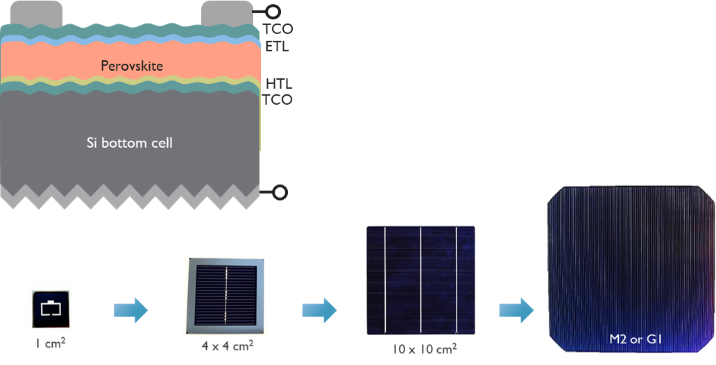 Work package 4 - Perovskite Solar Cells